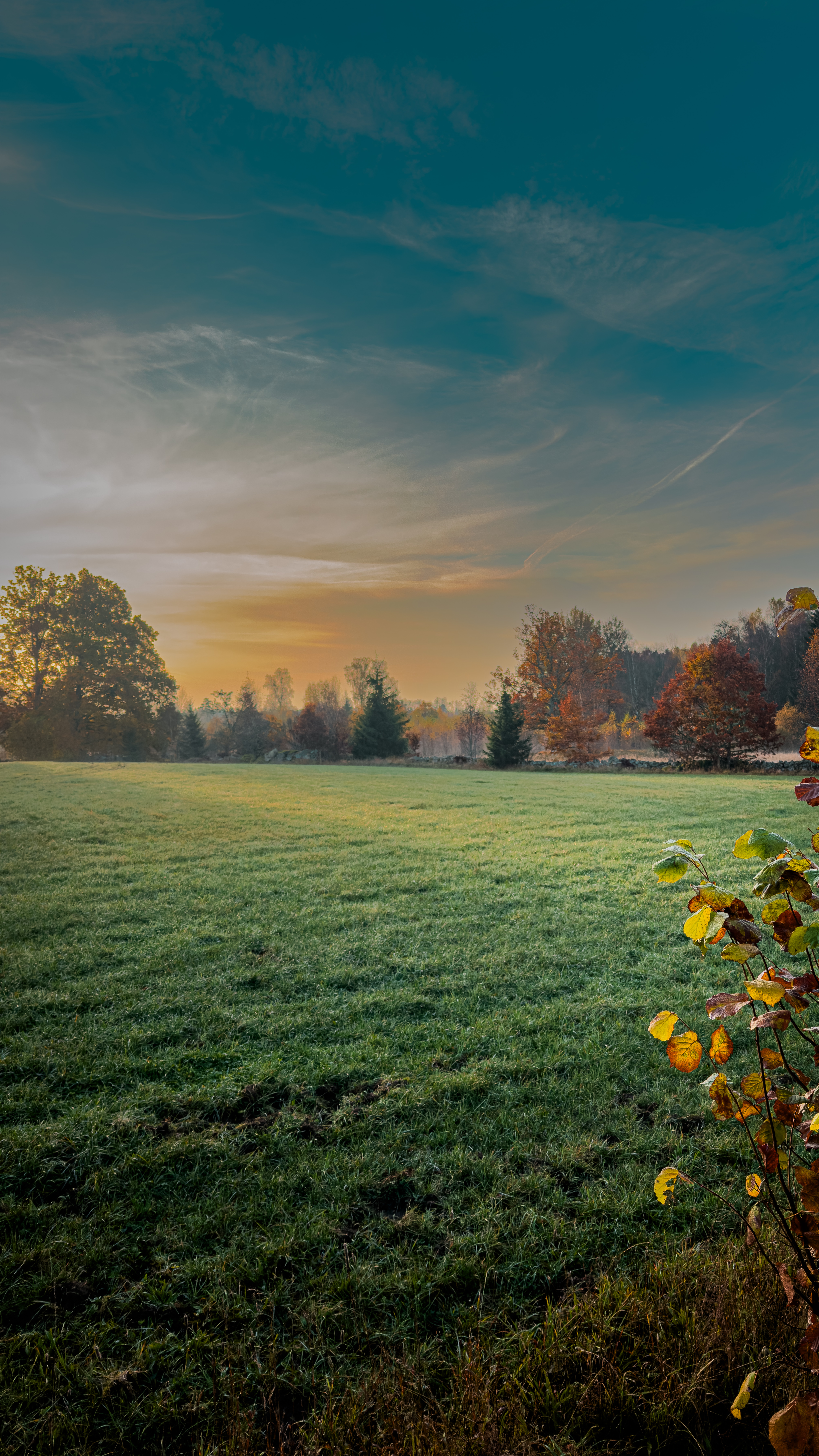 Fotografi av Jonatan Anxo
