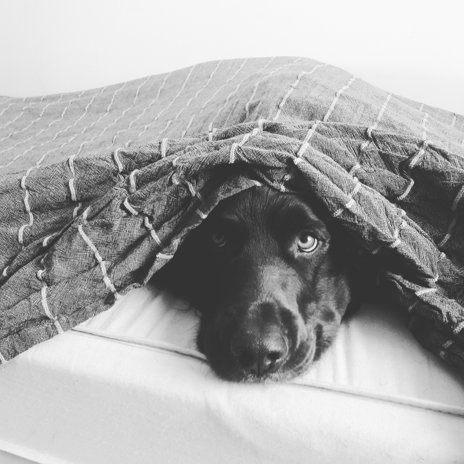 Dokumentärfotografi av Jonatan Anxo