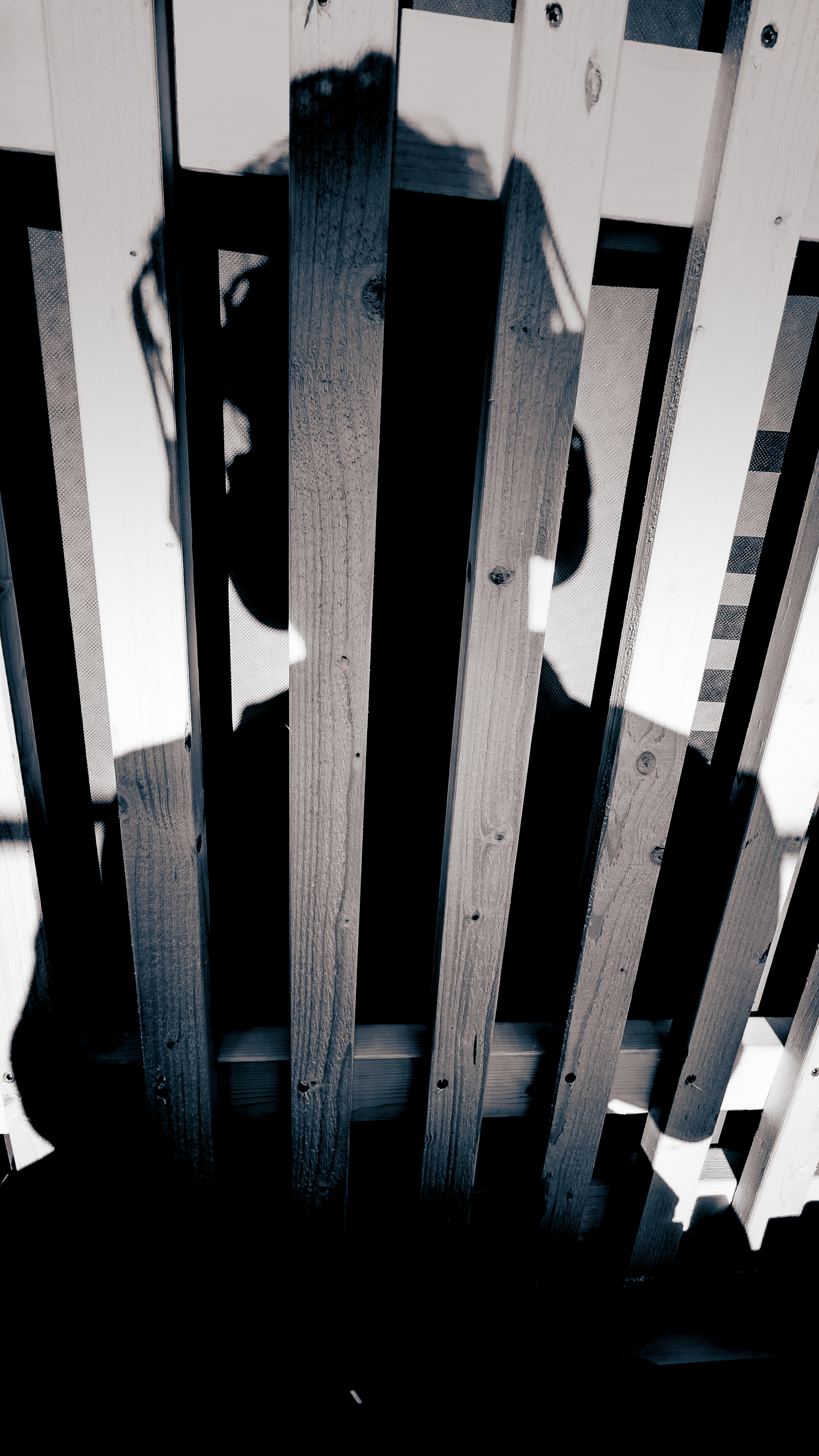 Fotografi av Jonatan Anxo